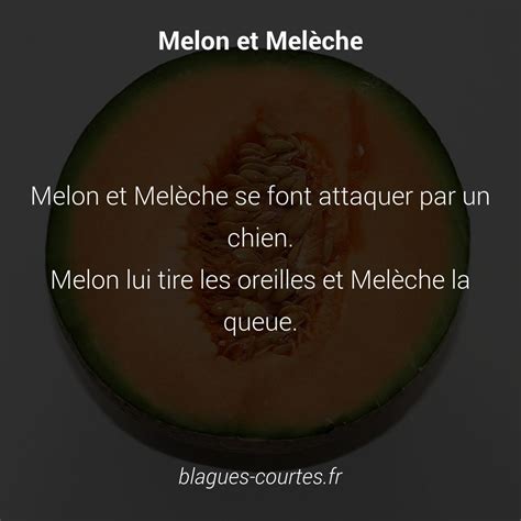 melon et meleche